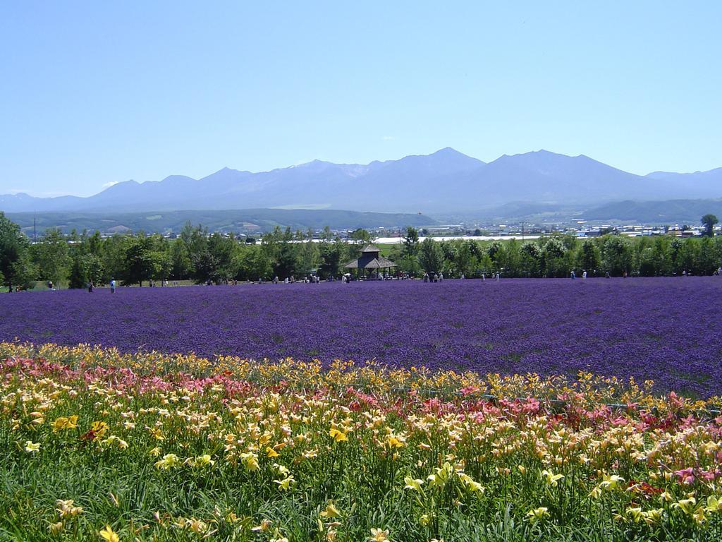 富良野プリンスホテル 富良野市 エクステリア 写真